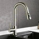 Stainless Steel Brushed Kitchen Sink Faucet with Sprayer - EX-STOCK CANADA