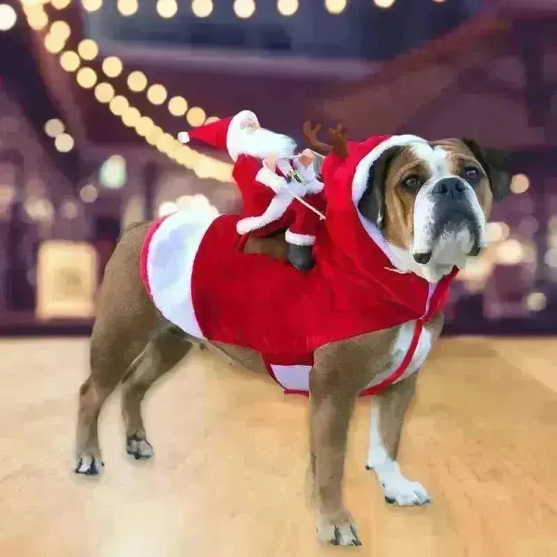 Santa riding outfit - EX-STOCK CANADA