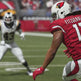 MADDEN NFL 19 