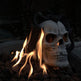 Fire Pit Demon Skull Gas Log For Ventless Vent Free, Propane, Gel, Ethanol, Electric, Outdoor Fireplace And Fire Pit, Halloween Decor - Patent Pending - EX-STOCK Canada