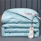 Summer Quilt Spring And Autumn Thickening Thermal Winter Duvet EX-STOCK Canada 