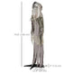 6ft Life Size Outdoor Halloween Decoration Skeleton Witch, Animated Prop With Light Up Eyes, Spooky Sound EX-STOCK Canada 