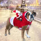 Santa riding outfit - EX-STOCK CANADA