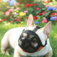Breathable Dog Muzzle for Flat-Faced Breeds – 9 Styles, Sizes XXS to L