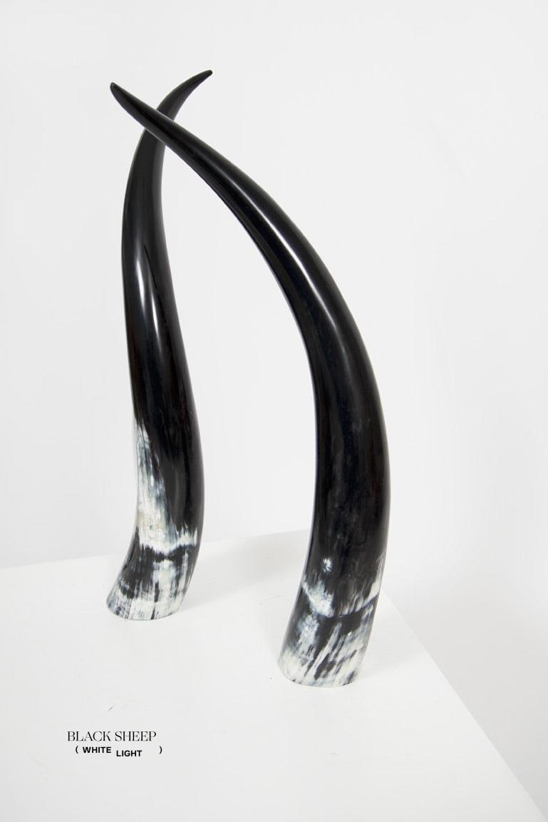 Ensemble de cornes décoratives Ankole foncéesEX-STOCK Canada 