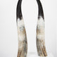 Ensemble de cornes décoratives Ankole foncéesEX-STOCK Canada 