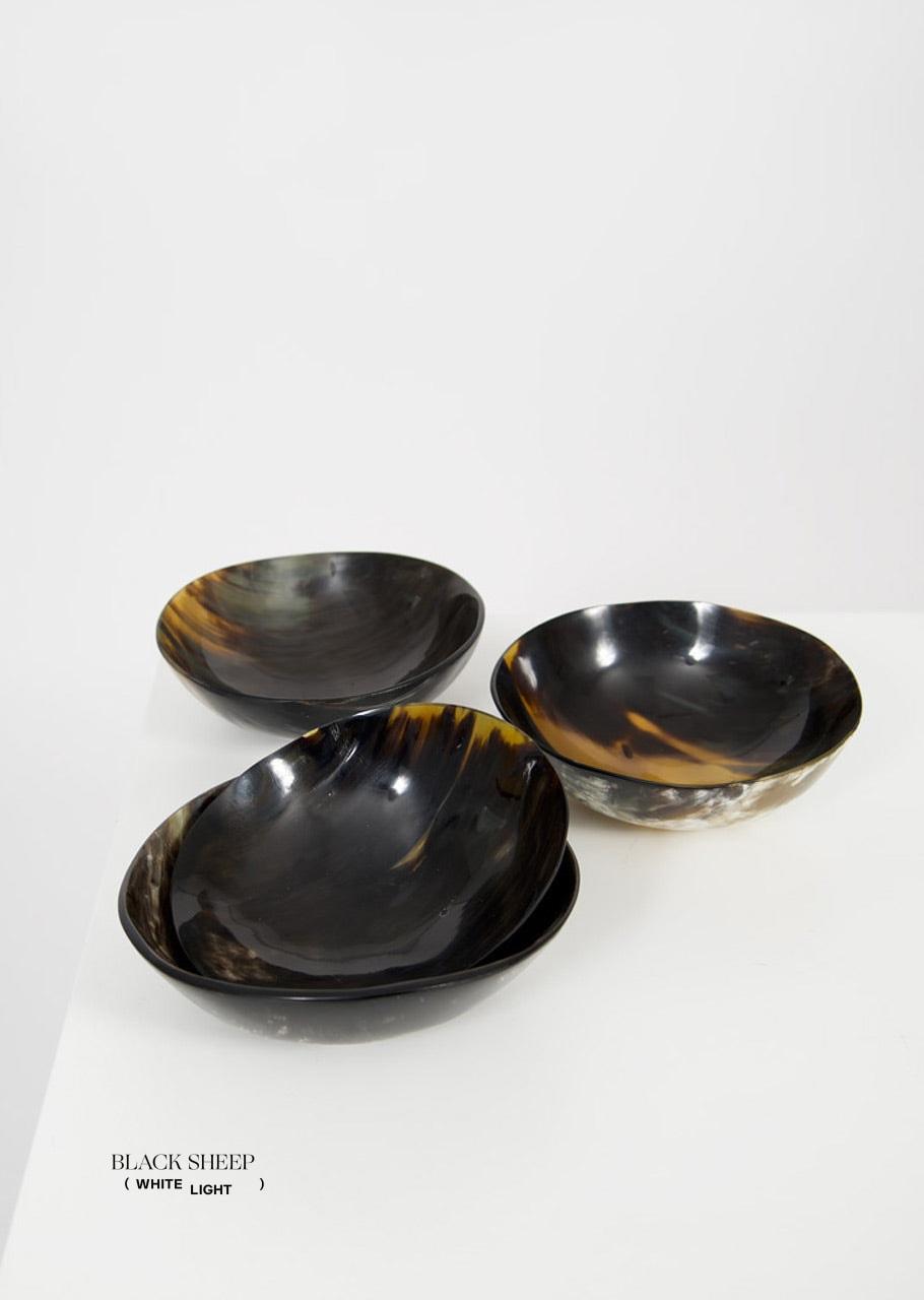 Bol rond sombre à cornes Ankole et GyrEX-STOCK Canada 