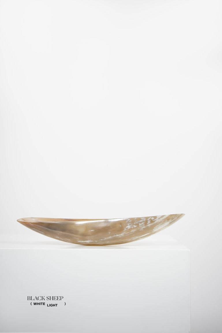 Ankole & Gyr Horn Light Oval  Vessel EX-STOCK Canada 