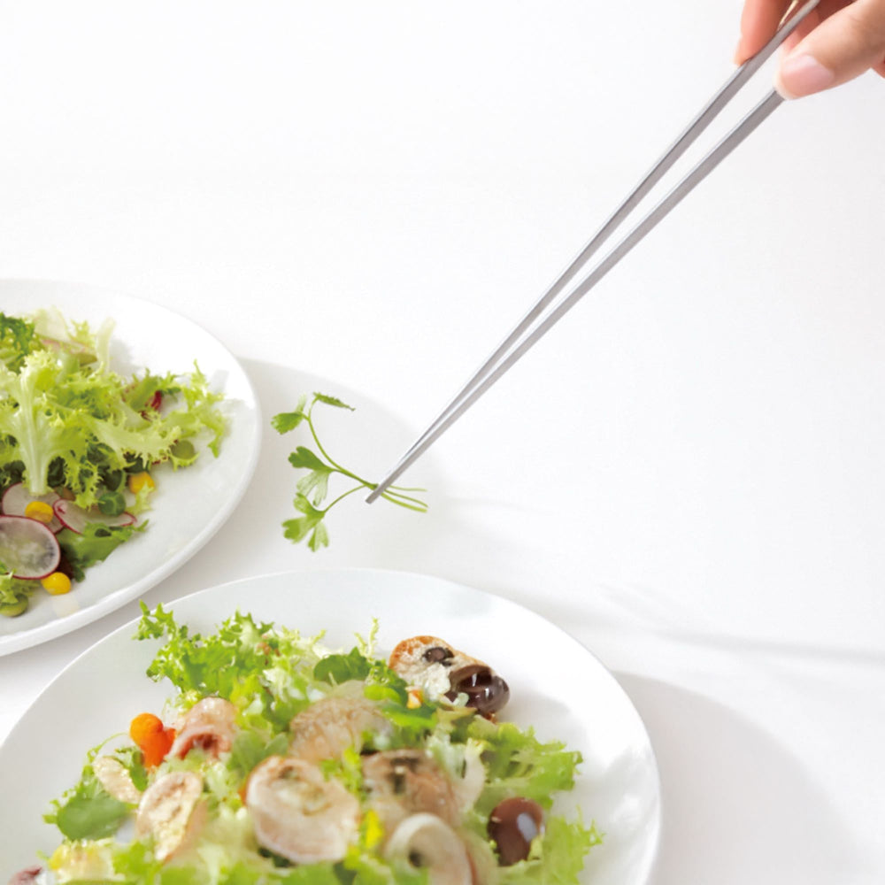 Eatoco Japan Saibashi Tongs – 250 mm Stainless-Steel Precision Tool 