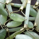 Beauty Jade Massage Facial Massage Beauty Massage Roller - EX-STOCK Canada