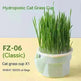 Cat Grass Cup Soilless Hydroponic Seed Spit Hair Ball Snacks - EX-STOCK CANADA