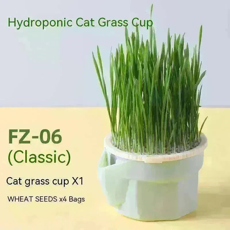 Cat Grass Cup Soilless Hydroponic Seed Spit Hair Ball Snacks - EX-STOCK CANADA