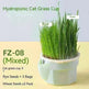 Cat Grass Cup Soilless Hydroponic Seed Spit Hair Ball Snacks - EX-STOCK CANADA