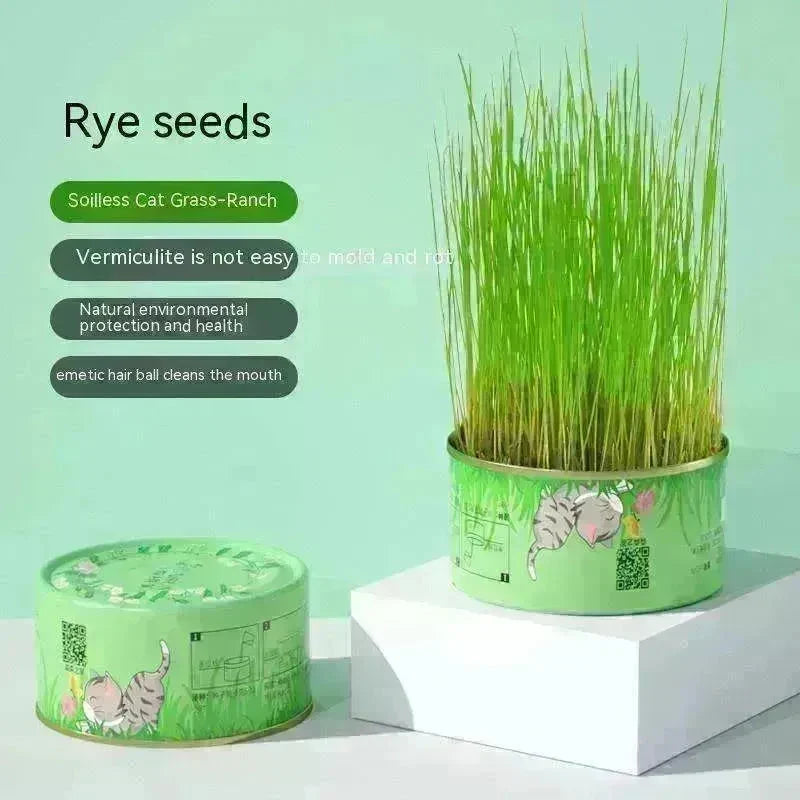 Cat Grass Cup Soilless Hydroponic Seed Spit Hair Ball Snacks - EX-STOCK CANADA