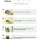 Cat Grass Cup Soilless Hydroponic Seed Spit Hair Ball Snacks - EX-STOCK CANADA