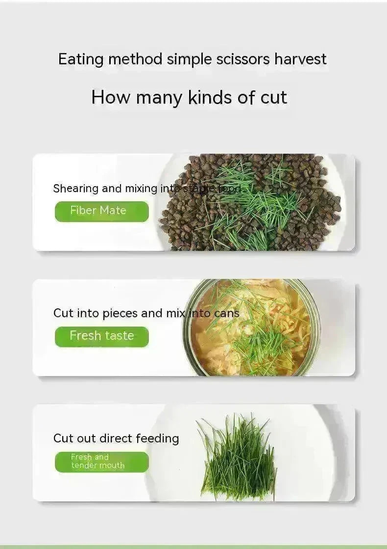 Cat Grass Cup Soilless Hydroponic Seed Spit Hair Ball Snacks - EX-STOCK CANADA