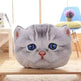 Cat Pillow Car Cushion Cute Cat Shape Nap Seat Plush Toy - EX-STOCK Canada