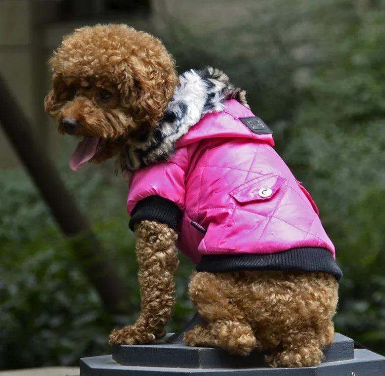 Cross-border pet supplies pet clothes dog clothes autumn and winter fur collar coat pet dog clothing EX-STOCK Canada 