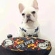 Fashionable Pet Cotton comfy Clothes - EX-STOCK CANADA