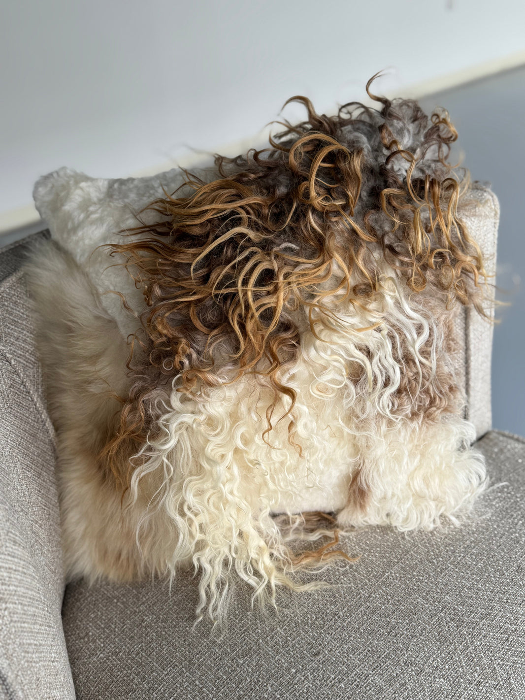 Mélange Sheepskin Pillow, curly wool 