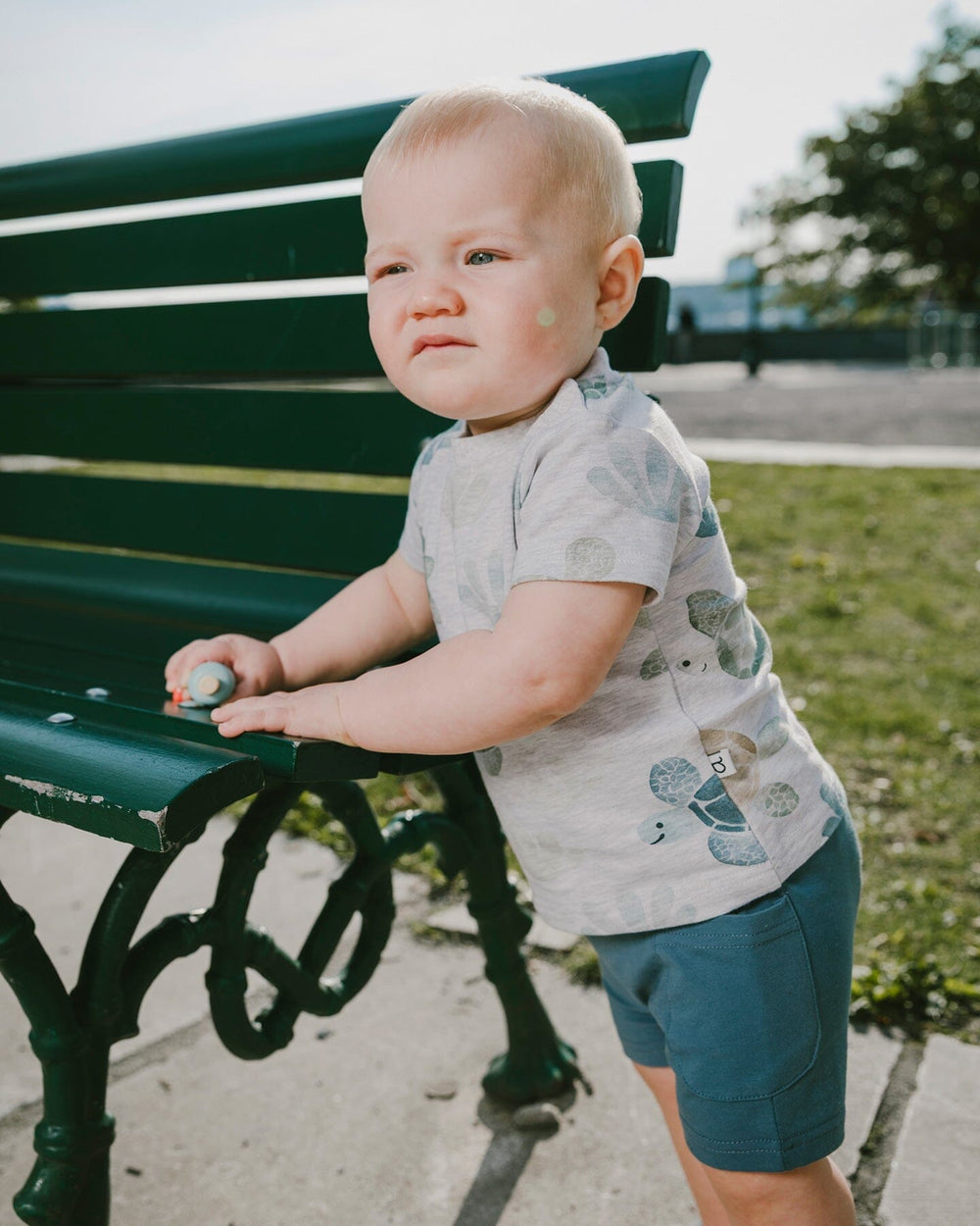Jersey T-Shirt And Organic Cotton Jersey Shorts Set Grey Mix Turtle Print And Medium Blue 