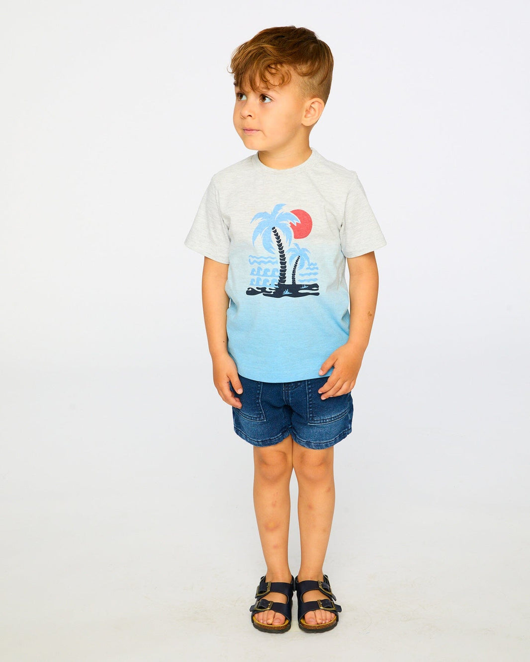 Organic Cotton Short Sleeve T-Shirt Grey Mix To Blue Gradient 