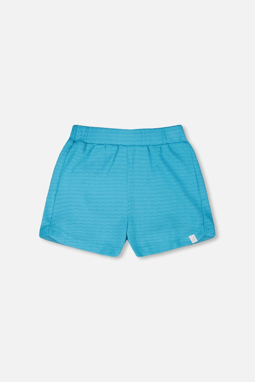 Shorts Blue 