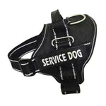 High Quality Personalization Of Pet Chest Strap / leash - EX-STOCK CANADA
