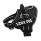 High Quality Personalization Of Pet Chest Strap / leash - EX-STOCK CANADA