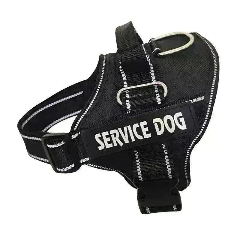High Quality Personalization Of Pet Chest Strap / leash - EX-STOCK CANADA