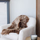 Light Brown Icelandic Sheepskin 
