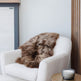 Light Brown Icelandic Sheepskin 