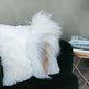 Mélange Sheepskin Pillow, straight wool 