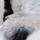 Shorn Dark Grey Edge Icelandic Sheepskin 