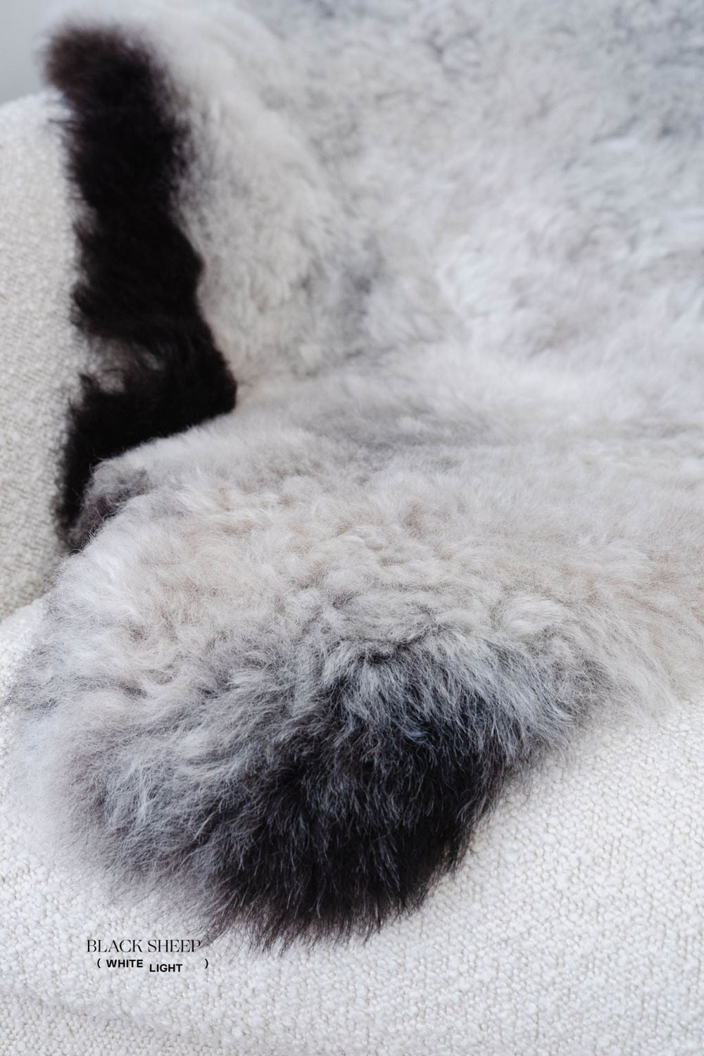 Shorn Dark Grey Edge Icelandic Sheepskin 