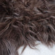 Dark Brown Icelandic Sheepskin EX-STOCK Canada 