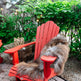 Rare Rusty Grey Icelandic Sheepskin 