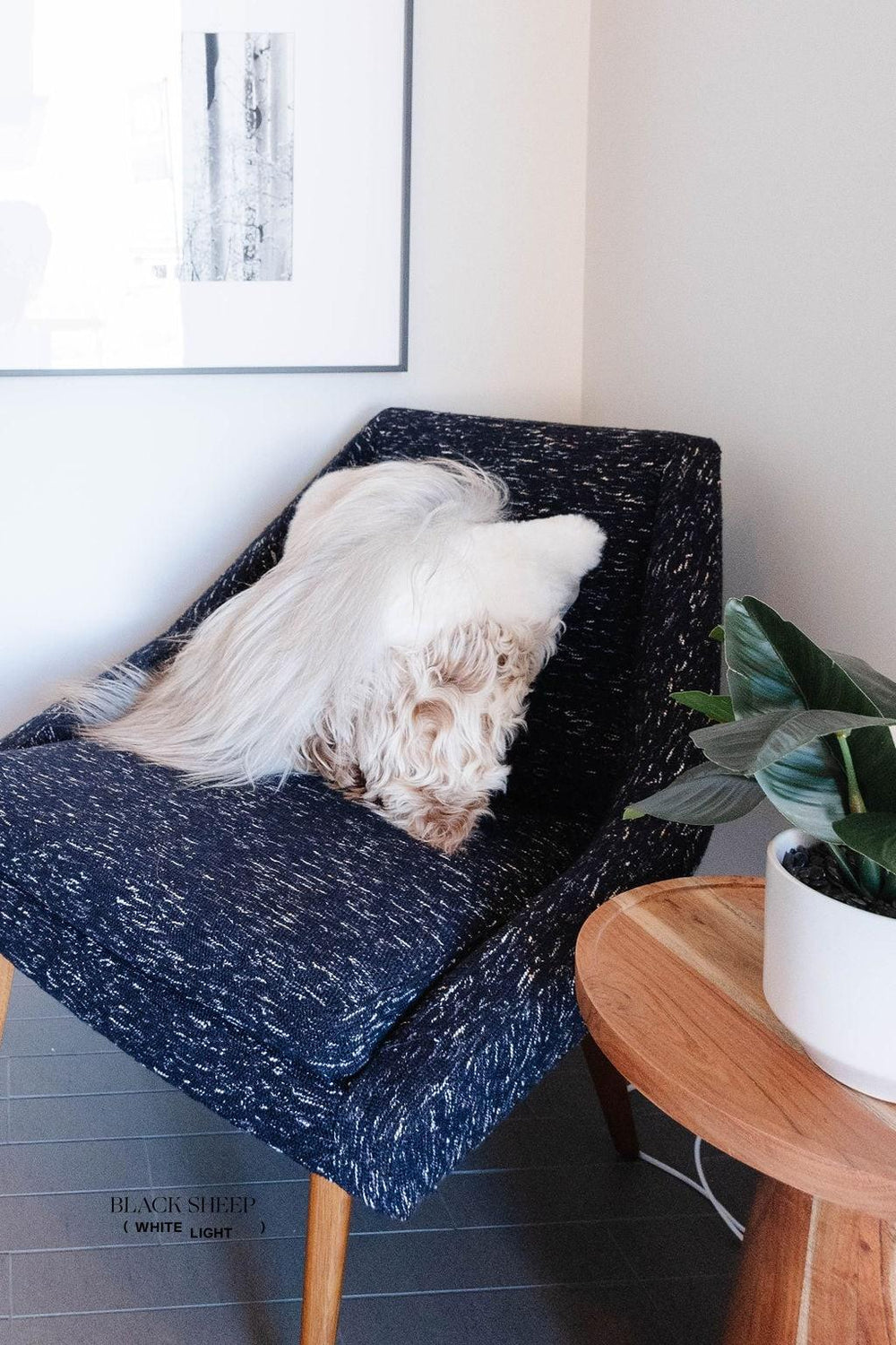 Mélange Sheepskin Pillow, straight wool 
