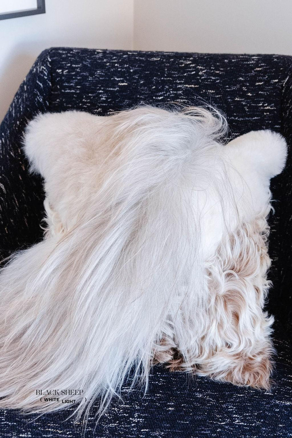 Mélange Sheepskin Pillow, straight wool 