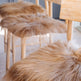 Camel Icelandic Sheepskin Chair Pad EX-STOCK Canada 