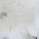 Peau de renne sami blancheEX-STOCK Canada 