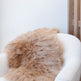 Camel Icelandic Sheepskin EX-STOCK Canada 