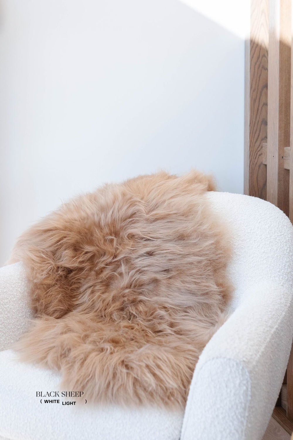 Camel Icelandic Sheepskin EX-STOCK Canada 