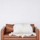 Peau de renne sami blancheEX-STOCK Canada 