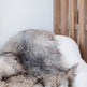 Natural Curly Grey Icelandic Sheepskin EX-STOCK Canada 
