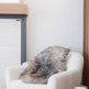 Natural Curly Grey Icelandic Sheepskin EX-STOCK Canada 