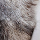 Natural Curly Grey Icelandic Sheepskin EX-STOCK Canada 