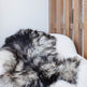 Natural Dark Grey Icelandic Sheepskin EX-STOCK Canada 
