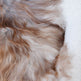 Rare Rusty Grey Icelandic Sheepskin EX-STOCK Canada 