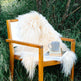 White Icelandic Curly Sheepskin 